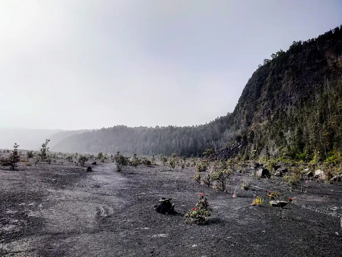 Hawaii Volcanoes National Park: The Driving Guide Nobody Gives You