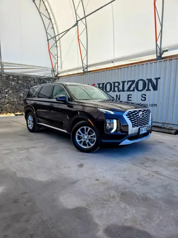 Hyundai Palisade exterior photo 1