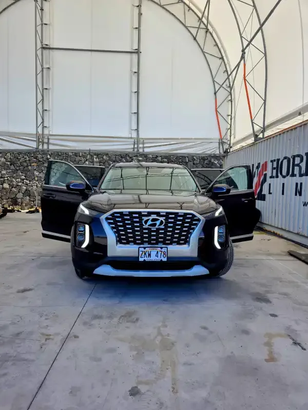Hyundai Palisade exterior photo 2