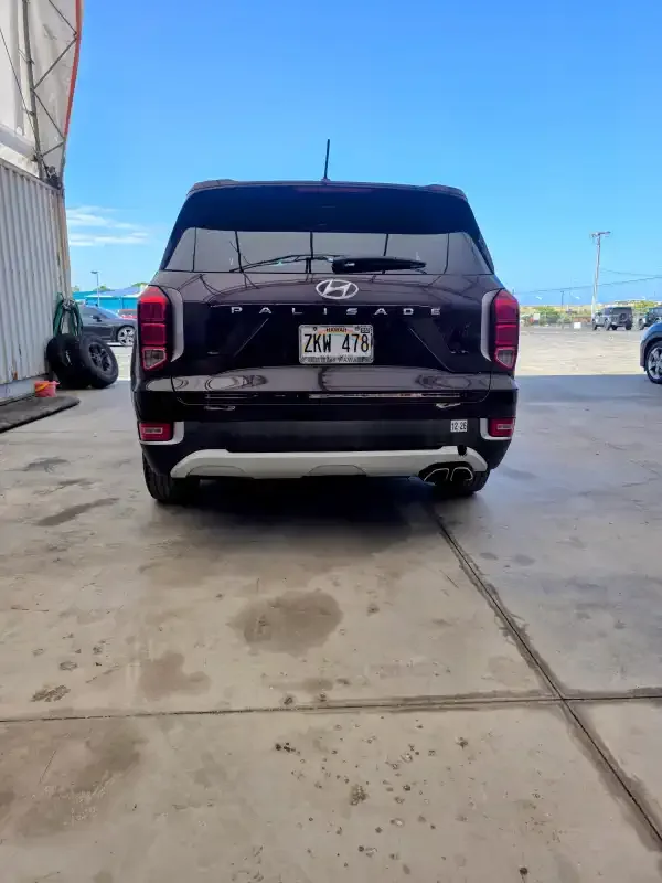 Hyundai Palisade exterior photo 3