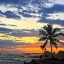 Sunset behind a palm tree on the Kona coastline