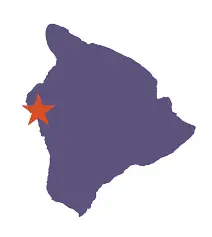 Free Kona Delivery