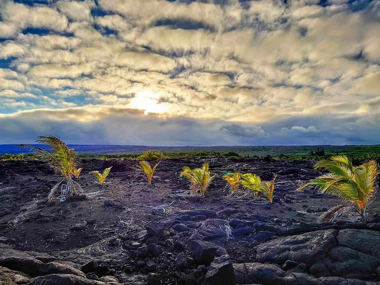 Lava flows Big Island Hawaii