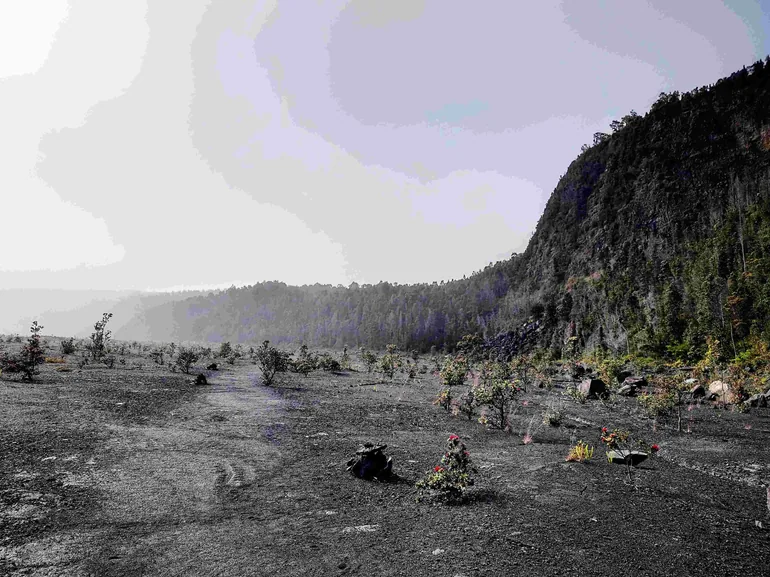 Volcanic landscape Big Island